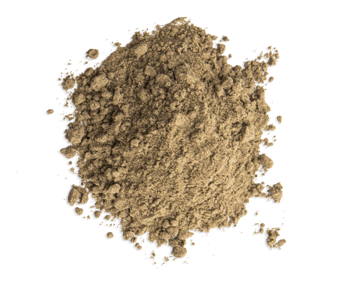 ORACLE- за добра памет и концентрация