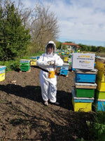 Къщата на пчелите